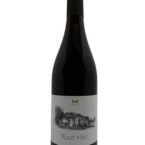 Pinot Noir - Domaine de la Mongestine - maxime-gamard-celine-harry-gozlan