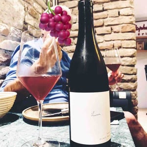 Pinot Noir - Weingut Claus Preisinger - Claus Preisinger 