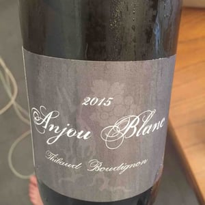 Thibaud Boudignon - Thibaud Boudignon - Anjou Blanc