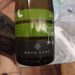 310 - Nove Lune - Alessandro Sala -2020