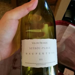 Neyrou-Plage - Jean Maupertuis - jean-maupertuis