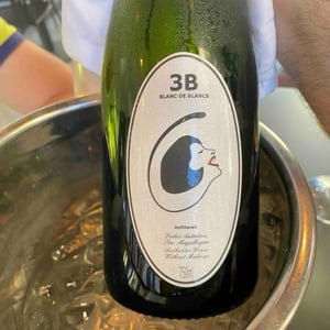 3B Brut Nature Blanc de Blancs - Filipa Pato - Filipa Pato & William Wouters 