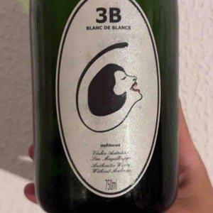 3B Brut Nature Blanc de Blancs - Filipa Pato - Filipa Pato & William Wouters 