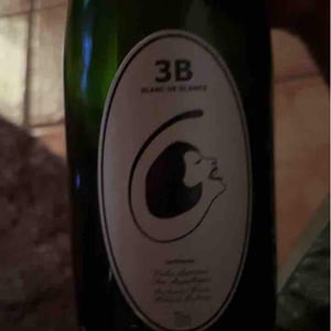Filipa Pato - Filipa Pato & William Wouters - 3B Brut Nature Blanc de Blancs