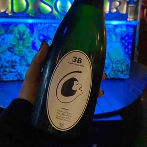 3B Brut Nature Blanc de Blancs - Filipa Pato - Filipa Pato & William Wouters 