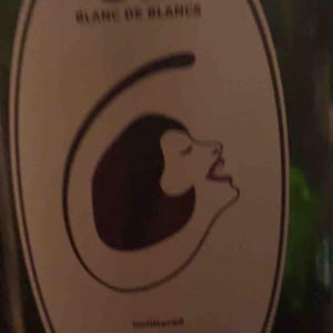 Filipa Pato - Filipa Pato & William Wouters - 3B Brut Nature Blanc de Blancs