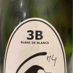 Filipa Pato - Filipa Pato & William Wouters - 3B Brut Nature Blanc de Blancs