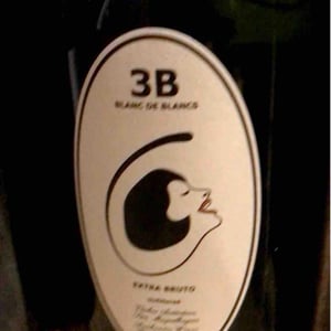 3B Brut Nature Blanc de Blancs - Filipa Pato - Filipa Pato & William Wouters 