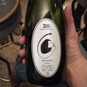 3B Brut Nature Blanc de Blancs - Filipa Pato - filipa-pato-william-wouters