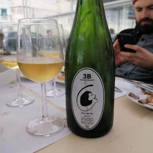3B Brut Nature Blanc de Blancs - Filipa Pato - filipa-pato-william-wouters
