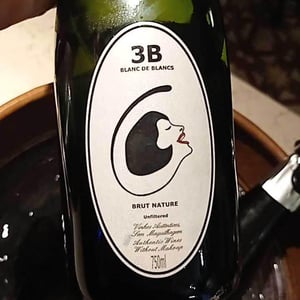 3B Brut Nature Blanc de Blancs - Filipa Pato - filipa-pato-william-wouters