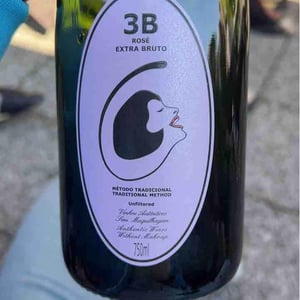 Filipa Pato - Filipa Pato & William Wouters - 3B Brut Nature Blanc de Blancs