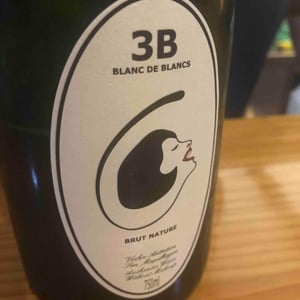 3B Brut Nature Blanc de Blancs - Filipa Pato - Filipa Pato & William Wouters 
