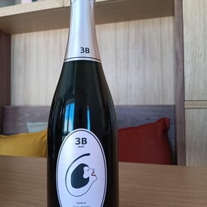 3B Rosé Brut - Filipa Pato - filipa-pato-william-wouters