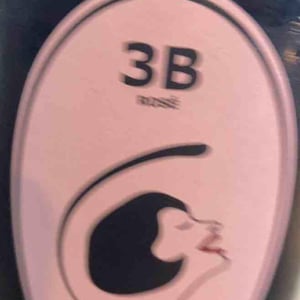 3B Rosé Brut - Filipa Pato - Filipa Pato & William Wouters 