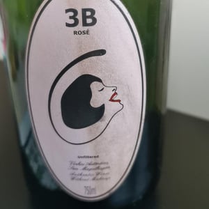 Filipa Pato - Filipa Pato & William Wouters - 3B Rosé Brut