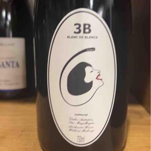 3B Brut Nature Blanc de Blancs - Filipa Pato - Filipa Pato & William Wouters 