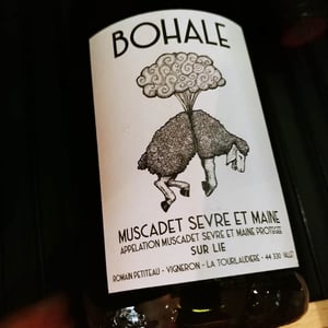 Bohale - Domaine de la Tourlaudière - romain-petiteau