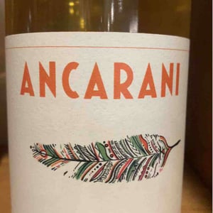 Indigeno - Ancarani - rita-babini-claudio-ancarani