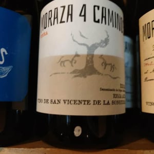 4 Caminos Viura - Bodegas Moraza - janire-moraza-and-patricio-brongo