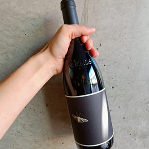 4 kilos - Cuatro Kilos Vinicola - 4-kilos-vinicola -2020
