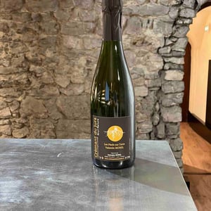 Crémant Du Jura Brut Nature - Les Pieds Sur Terre - Valentin Morel 