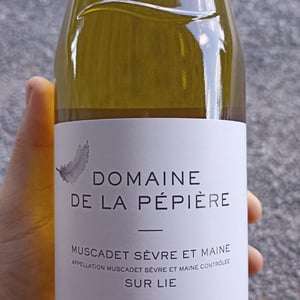 Muscadet Sèvre et Maine sur Lie - Domaine de la Pépière - marc-ollivier-remi-branger-gwenaelle-croix