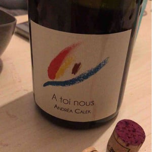 A Toi Nous - Andrea Calek - andrea-calek-et-stephana-nicolescu