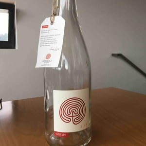 Azienda Costadilà - Martina Cieli & Alex Dalla Vecchia - 450 slm