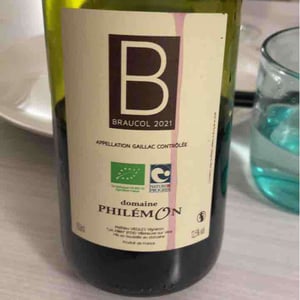 Braucol - Domaine Philémon - Mathieu Vieules -2020