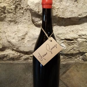 Amour Sauvage - Justine Vigne - justine-vigne -2019