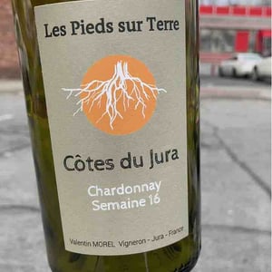Savagnin Ouillé - Les Pieds Sur Terre - Valentin Morel 