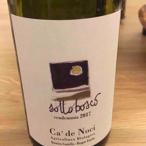 Sottobosco - Ca De Noci - Alberto & Giovanni Masini 