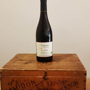 Trigone Rouge - Le Soula - wendy-wilson
