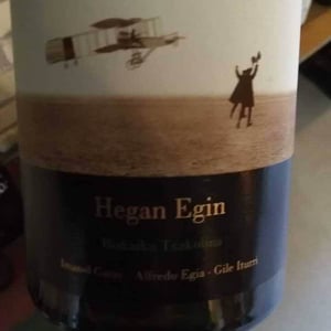 Hegan Egin (X Aldredo Egia) - Imanol Garay - Imanol Garay 