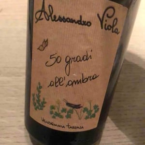 50 Gradi All’Ombra - Azienda Agricola Alessandro Viola - Alessandro Viola 