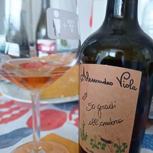 50 Gradi All’Ombra - Azienda Agricola Alessandro Viola - Alessandro Viola 