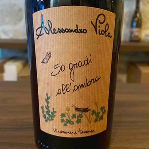 50 Gradi All’Ombra - Azienda Agricola Alessandro Viola - alessandro-viola