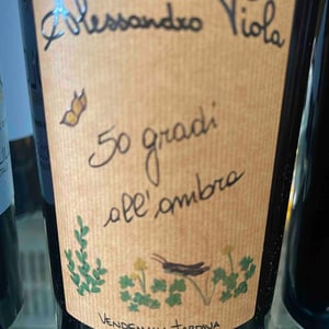50 Gradi All’Ombra - Azienda Agricola Alessandro Viola - Alessandro Viola 