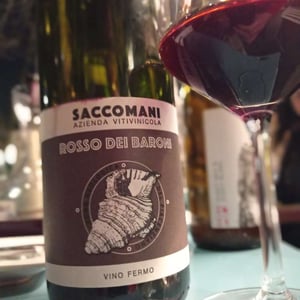 Rosso Dei Baroni - Azienda Vitivinicola Saccomani - Saccomani Giuseppe, Luca e Claudia -2019