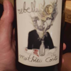 Rebelle Blanc - Domaine Bio Coste - Mathieu Coste 