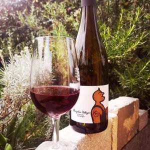 Beaujolais Villages Karim Vionnet - Karim Vionnet - Karim Vionnet -2019