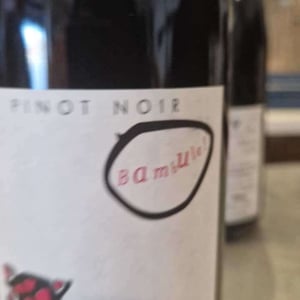 Bambule ! Pinot Noir - Weingut Beck - Judith Beck 