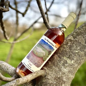 Rosato - Azienda Agricola La Busattina - Emilio Falcione 