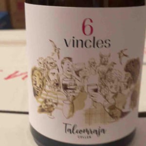 6 vincles - Arenys de Munt - joan-munich-arranz