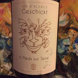 Domaine Geschickt - Arnaud Geschickt & Aurélie Fayolle - 6 Pieds sur Terre