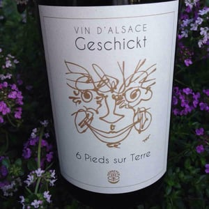 Domaine Geschickt - Arnaud Geschickt & Aurélie Fayolle - 6 Pieds sur Terre