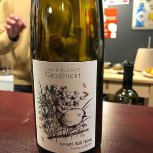 Domaine Geschickt - Arnaud Geschickt & Aurélie Fayolle - 6 Pieds sur Terre