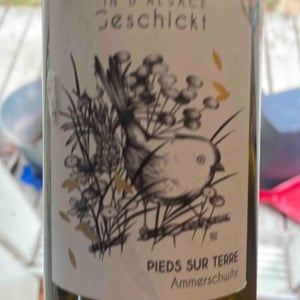 6 Pieds sur Terre - Domaine Geschickt - Arnaud Geschickt & Aurélie Fayolle 