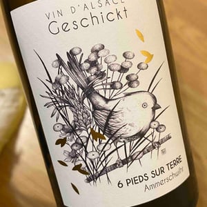 6 Pieds sur Terre - Domaine Geschickt - arnaud-geschickt-aurelie-fayolle
